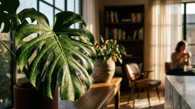How to Spot and Get Rid of Spider Mites on Houseplants