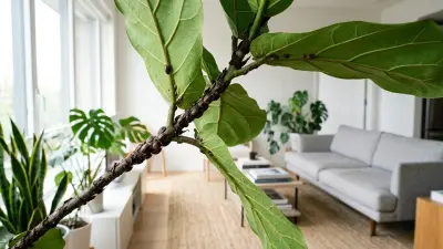 Common Houseplant Pests: Identify, Treat, & Prevent for Thriving Plants