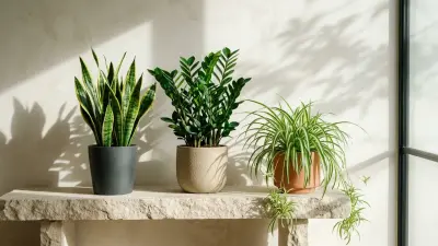 Snake Plant vs. ZZ Plant vs. Spider Plant: Your Ultimate Beginner Houseplant Battle