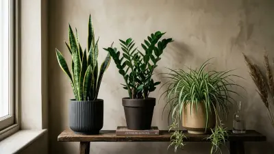 Starter Plant Showdown: Snake Plant vs. ZZ Plant vs. Spider Plant