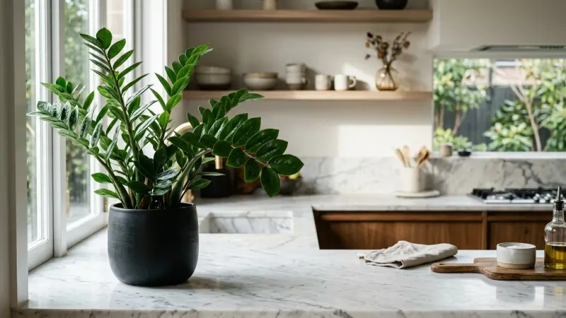 Thriving Greenery, Zero Stress: Your Guide to Easy-Care Houseplants
