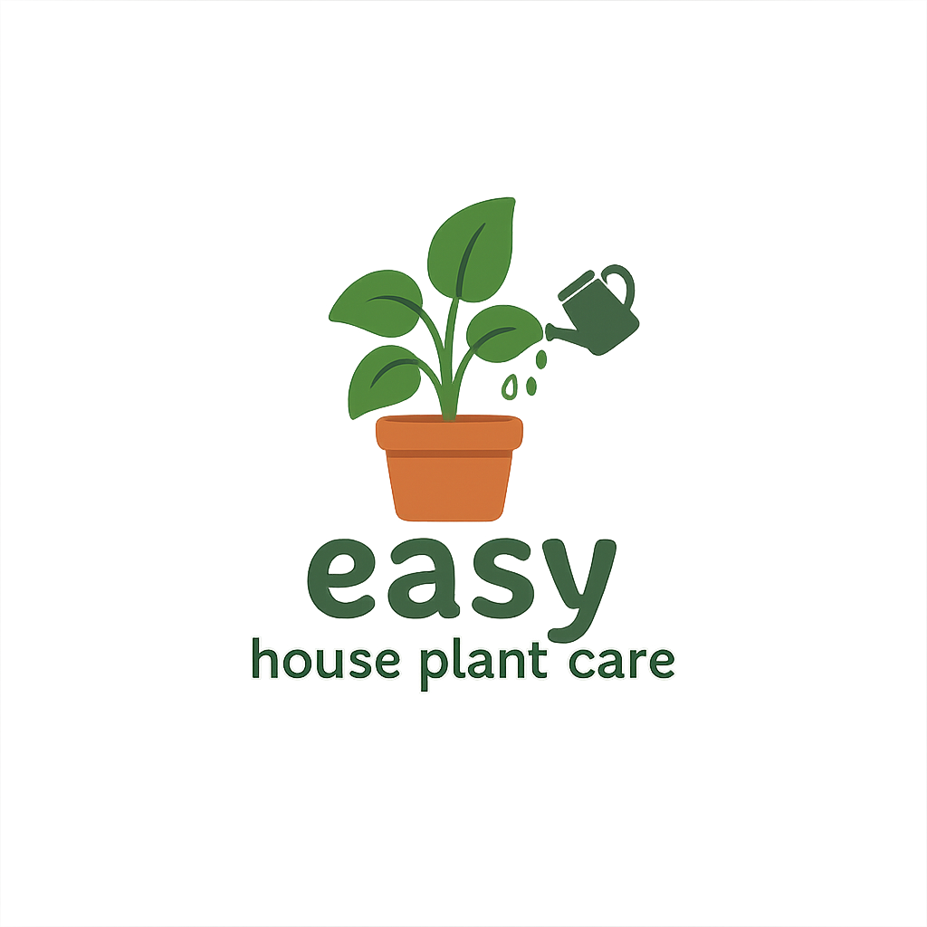 Easy Houseplant Care | Simple Indoor Plant Tips