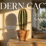 cacti care 101 your easy guide to thriving desert plants ind 2026 04 16