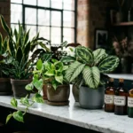 feeding your green friends 2026 04 24