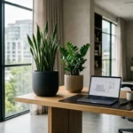 green up your desk top low maintenance office plants that th 2026 04 26