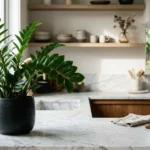 thriving greenery zero stress your guide to easy care housep 2026 04 23