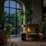 thriving in shadows your guide to best low light houseplants 2026 04 22
