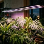 unlock thriving growth your guide to choosing the best grow 2026 04 26